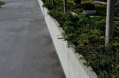 Concrete Driveway Curbing