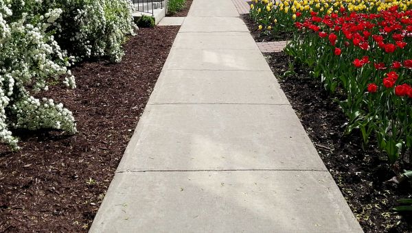 Cost of Sidewalk Slab Replacement in Arroyo Grande