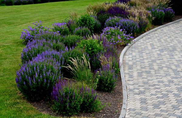 Sidewalk Curb Installation in Arroyo Grande