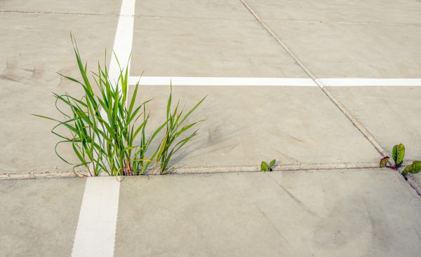 Concrete Parking Installation in Arroyo Grande