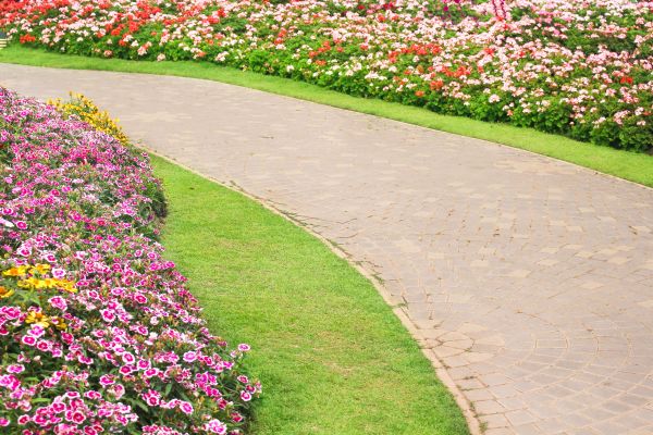 Concrete Walkway Service in Arroyo Grande